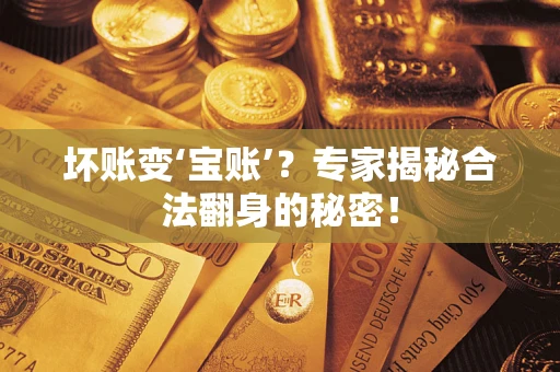 北京坏账变‘宝账’？专家揭秘合法翻身的秘密！
