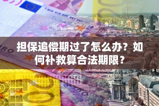 北京担保追偿期过了怎么办？如何补救算合法期限？