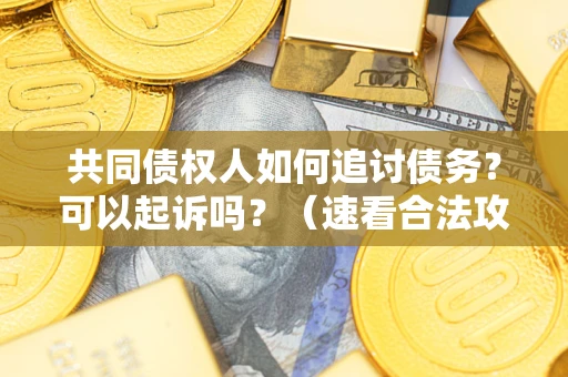 北京共同债权人如何追讨债务？可以起诉吗？（速看合法攻略）