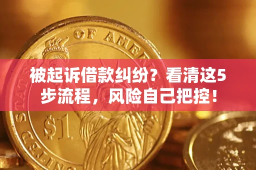 北京被起诉借款纠纷？看清这5步流程，风险自己把控！